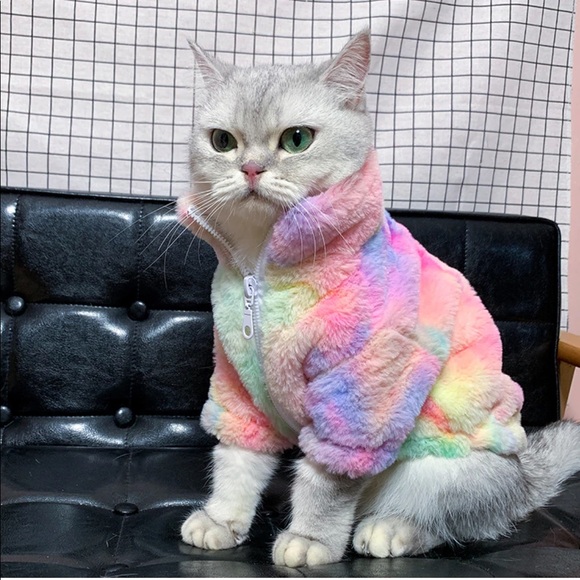 Happy & Polly Other - Happy & Polly Rainbow Series Tie-Dye Cat Clothes L